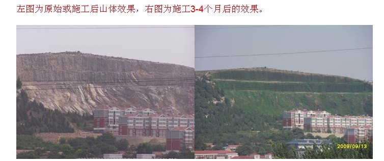 2009年濟南某山體復綠工程