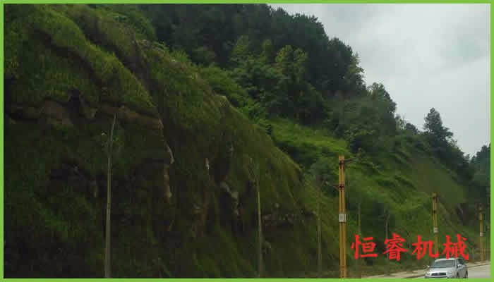 新型邊坡綠化技術(shù)大比拼