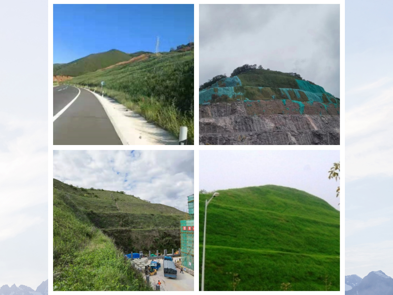 恒睿綠化客土噴播機(jī)系列介紹